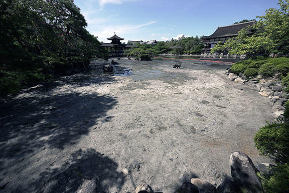 やっと池底が見えた池